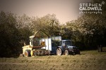 Silage 8126 Silage 8126